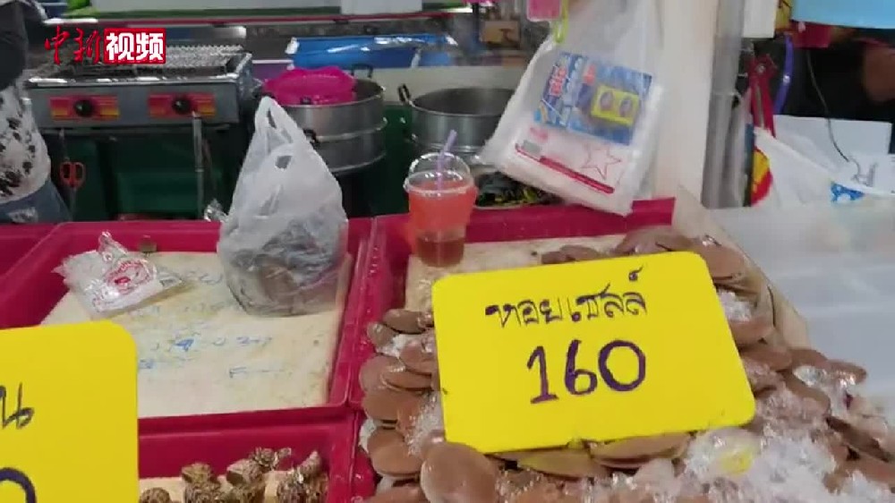 【澜湄印象】到泰国芭堤雅海鲜市场逛一逛 在家DIY粥底火锅